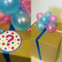Not Specified Balloon In A Box - Gender Reveal