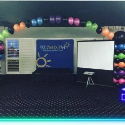 Not Specified Arches & Pillars Balloon Link A Loon Arch