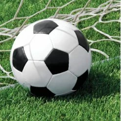 Balloon Agencies Napkins - Printed Soccer Napkins | Lunch Pk16