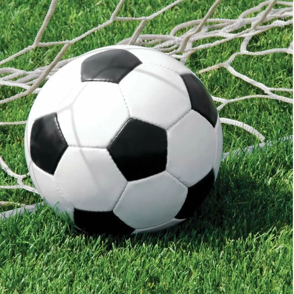 Balloon Agencies Napkins - Printed Soccer Napkins | Lunch Pk16