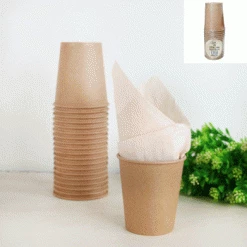 Oceana International Eco Friendly & Wooden Supplies Eco Paper Cups 200ml Pack 20