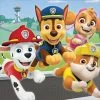 Balloon Agencies Napkins - Printed Paw Patrol Party Napkins 16pk