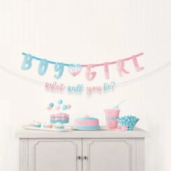 Balloon Agencies Boy Or Girl Jumbo Banner