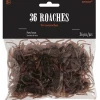 Balloon Agencies Halloween Rubber Cockroaches Pack Of 36