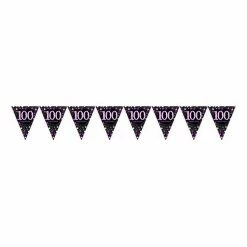 Balloon Agencies Birthday Banners & Bunting 100th Flag Banner Pink & Black