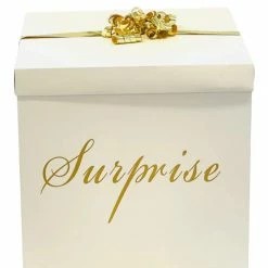 Party Planet Balloon In A Box - Choose Your Occasion