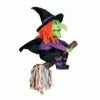 Not Specified Witch Pinata Pinatas