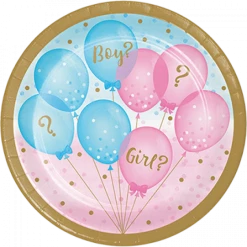 Balloon Agencies Baby Gender Reveal Gender Reveal Paper Plates | Boy Or Girl?