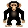 Not Specified Jungle / Safari Monkey Cutout