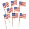 Balloon Agencies American Flag Picks Pk120