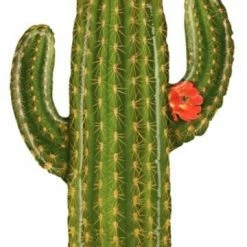 Not Specified Cactus Balloon Foil High & Mighty