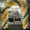 Not Specified Small Balloon Arch