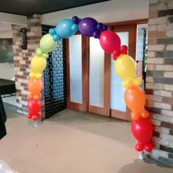 Not Specified Link-O-Loon Arch ~12 Balloons