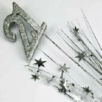 Not Specified Spangles & Sprays 21st Silver Spangle