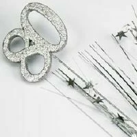 Not Specified Spangles & Sprays 80th Silver Spangle