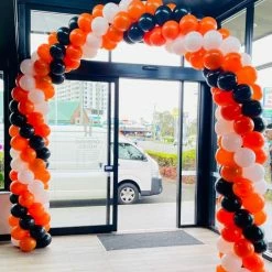 Not Specified Large Balloon Arch